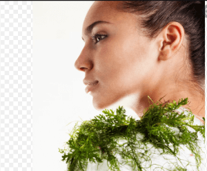 skin benefits of seaweed